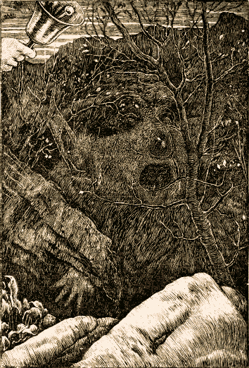 a face in the underbrush