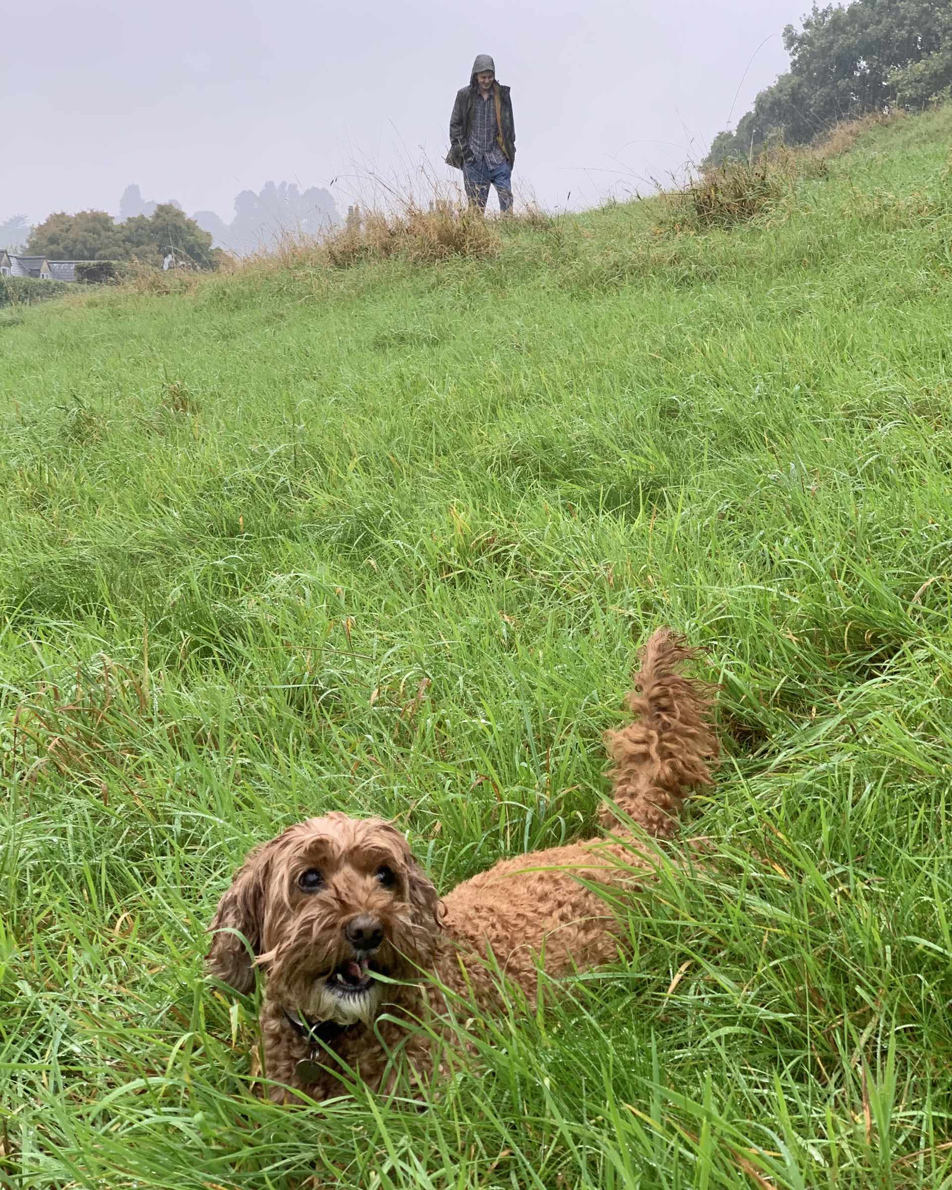 Rainy walk